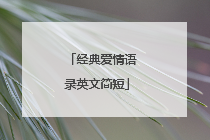 经典爱情语录英文简短