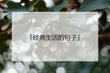 经典生活的句子