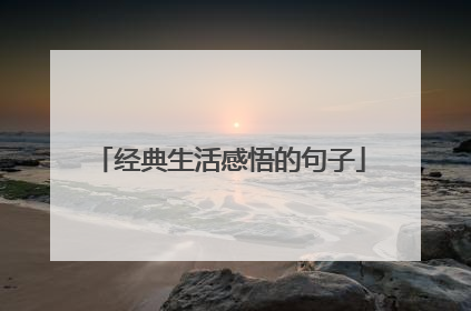 经典生活感悟的句子