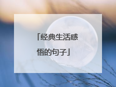 经典生活感悟的句子
