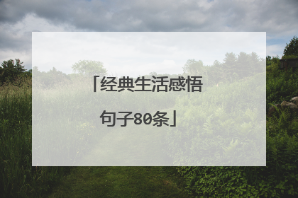 经典生活感悟句子80条