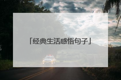 经典生活感悟句子