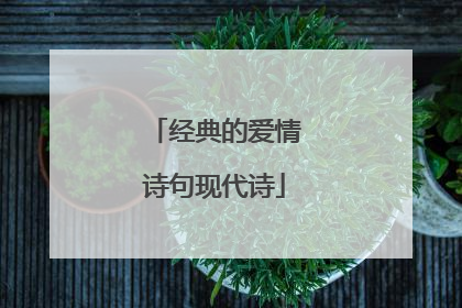 经典的爱情诗句现代诗