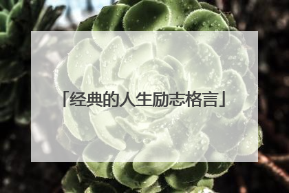 经典的人生励志格言
