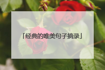 经典的唯美句子摘录