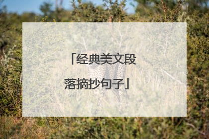 经典美文段落摘抄句子
