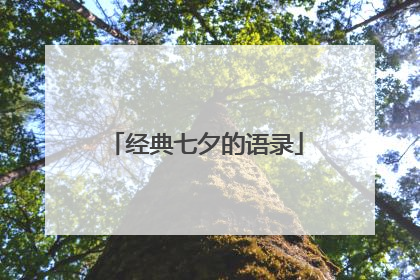 经典七夕的语录