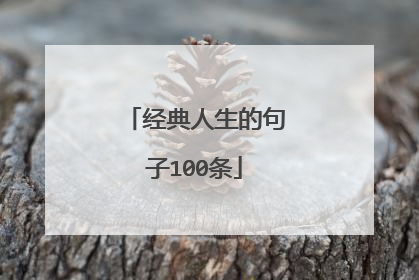 经典人生的句子100条
