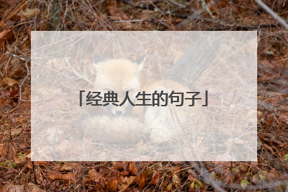 经典人生的句子