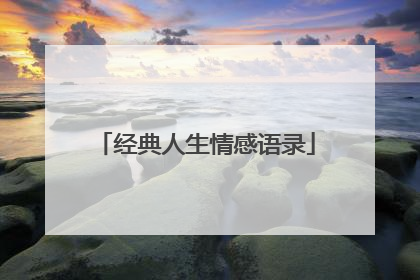 经典人生情感语录