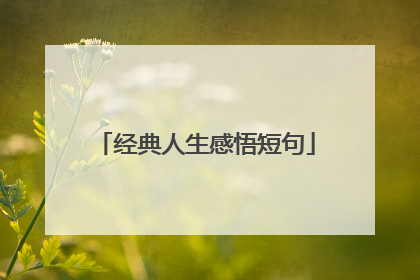 经典人生感悟短句