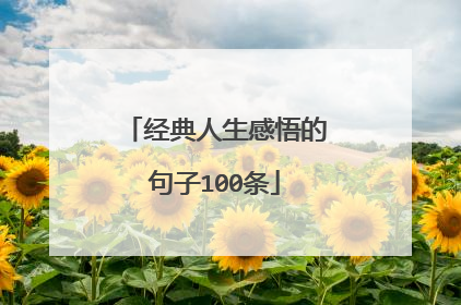 经典人生感悟的句子100条