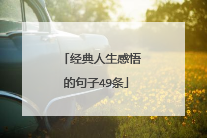 经典人生感悟的句子49条