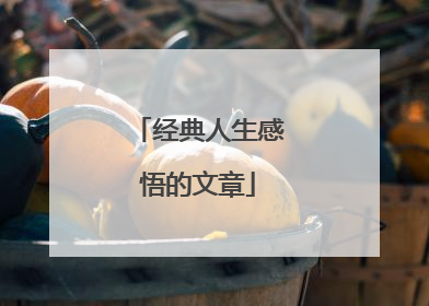 经典人生感悟的文章
