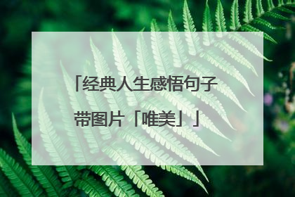 经典人生感悟句子带图片「唯美」
