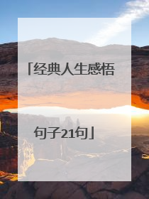 经典人生感悟句子21句