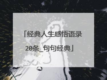 经典人生感悟语录20条_句句经典