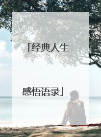 经典人生感悟语录