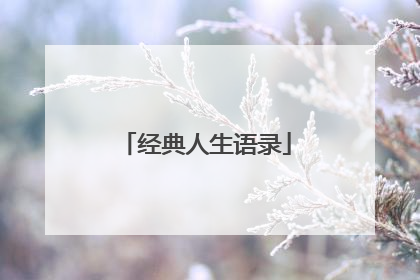 经典人生语录