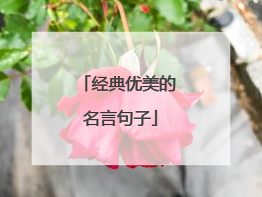 经典优美的名言句子