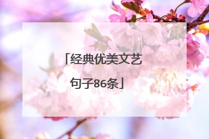 经典优美文艺句子86条