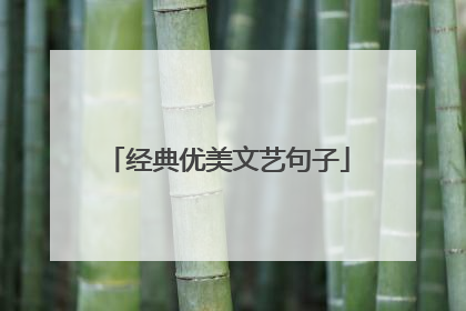 经典优美文艺句子