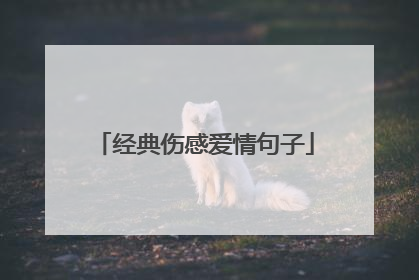 经典伤感爱情句子