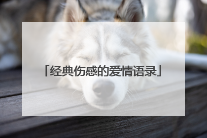 经典伤感的爱情语录