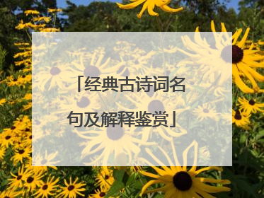 经典古诗词名句及解释鉴赏