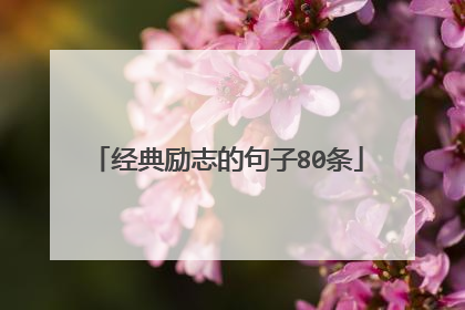 经典励志的句子80条