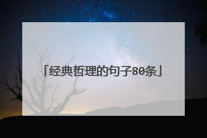 经典哲理的句子80条