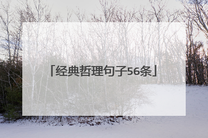 经典哲理句子56条