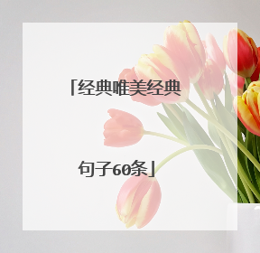 经典唯美经典句子60条