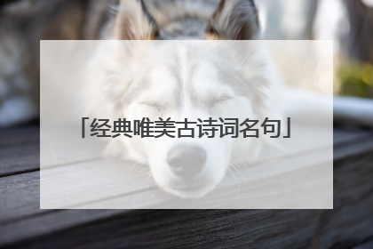 经典唯美古诗词名句