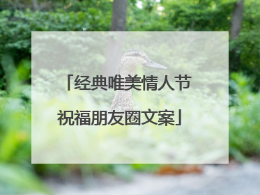 经典唯美情人节祝福朋友圈文案