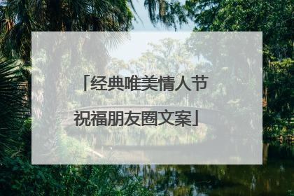 经典唯美情人节祝福朋友圈文案