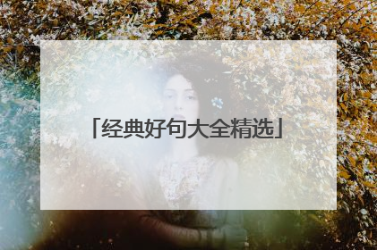 经典好句大全精选