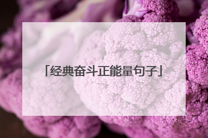 经典奋斗正能量句子