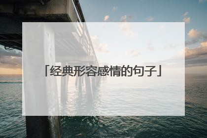经典形容感情的句子