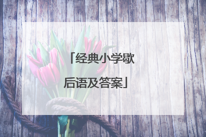经典小学歇后语及答案