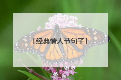 经典情人节句子
