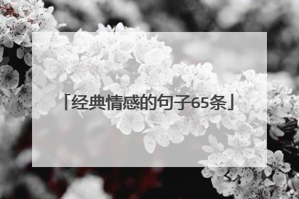 经典情感的句子65条