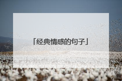 经典情感的句子