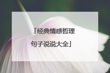 经典情感哲理句子说说大全