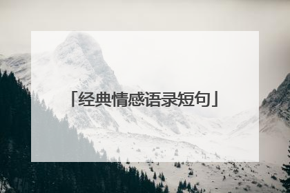 经典情感语录短句
