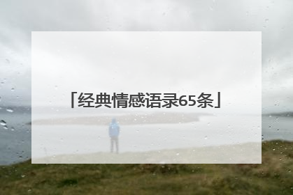 经典情感语录65条