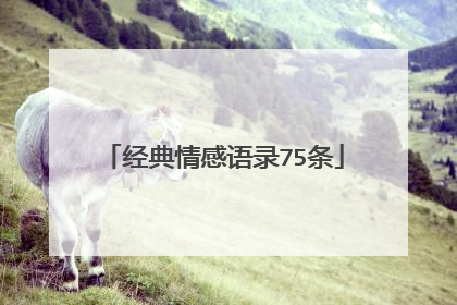 经典情感语录75条