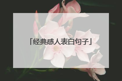 经典感人表白句子
