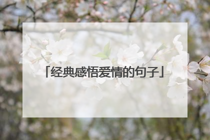 经典感悟爱情的句子