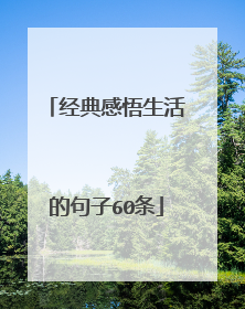 经典感悟生活的句子60条